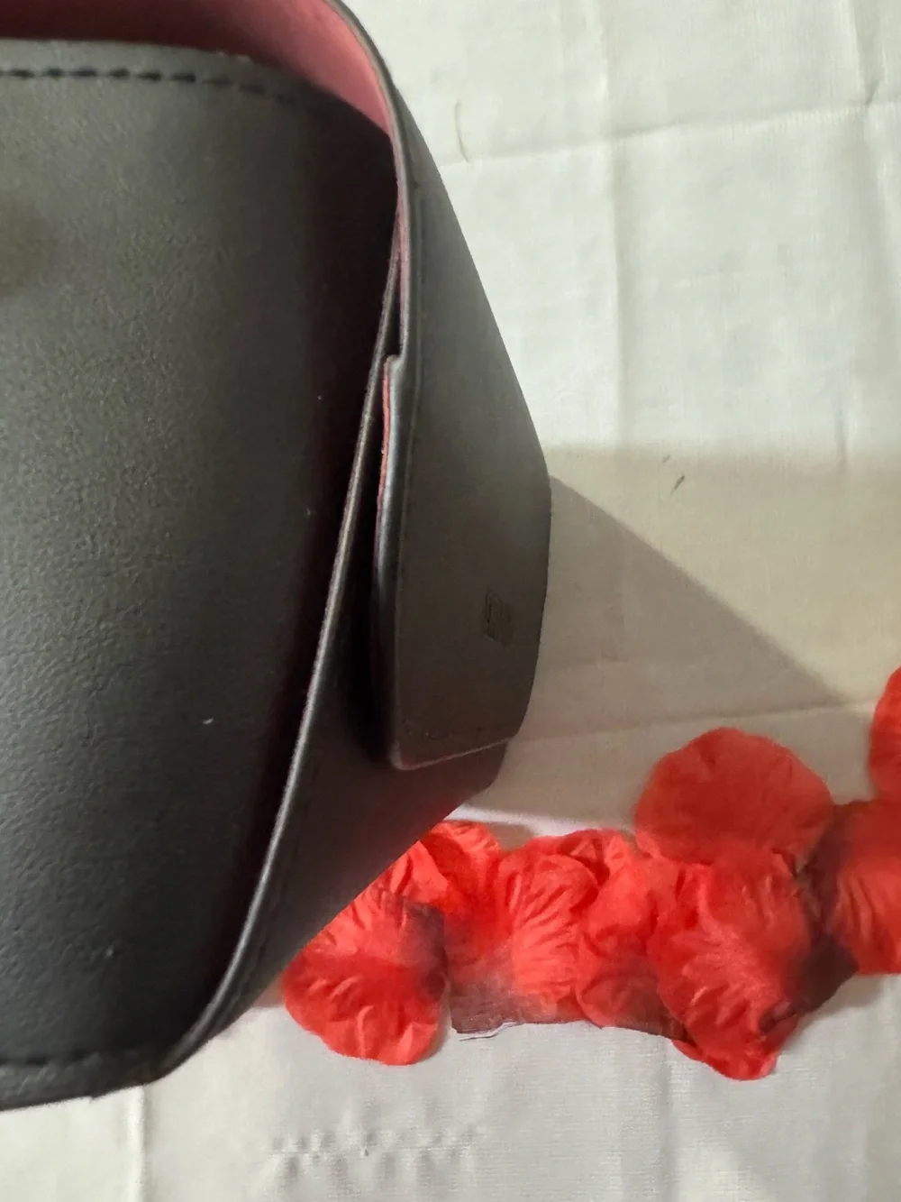 VALENTINO 💯% Authentic Eyewear Case with velvety interior - No cloth. No Box.
